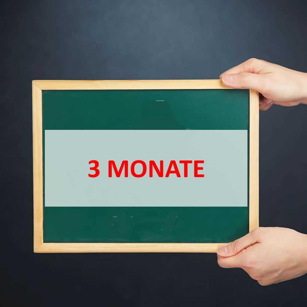 Preis für 3 Monate
