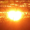 Sonnenherz Regina Ernst
