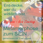1300-490-metamorphose-laspas-FiMi