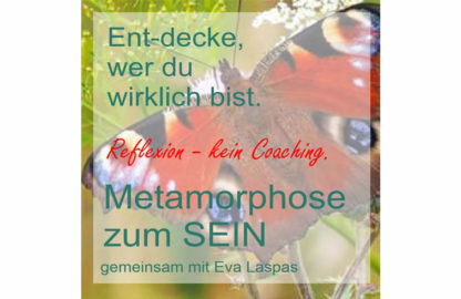 1300-490-metamorphose-laspas-FiMi